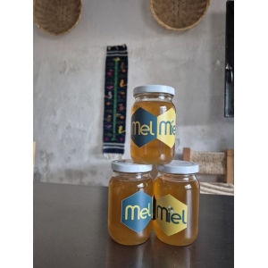 MelMiel